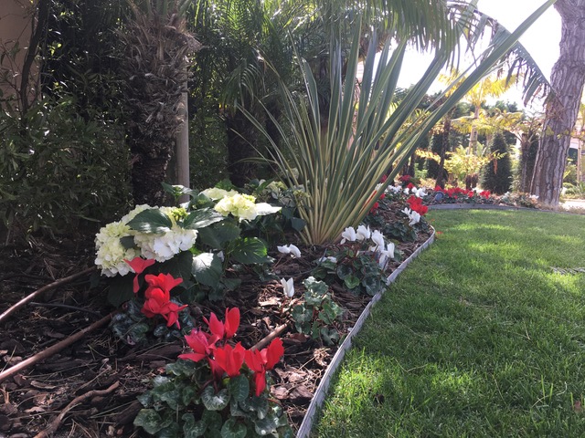 GREEN GARDENS & DESIGN