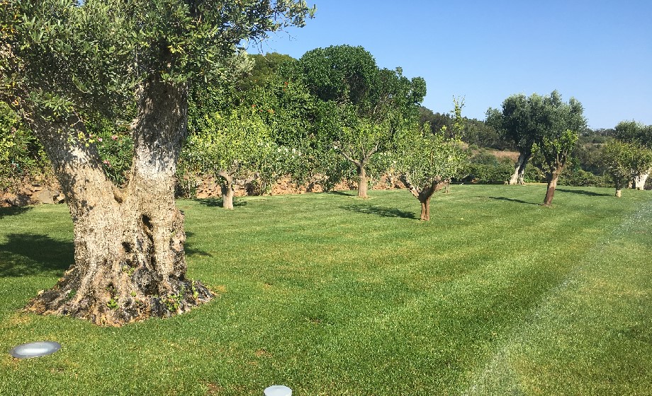 GREEN GARDENS & DESIGN