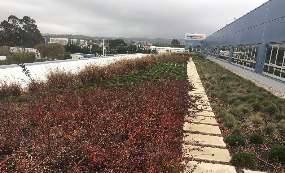 GREEN GARDENS & DESIGN