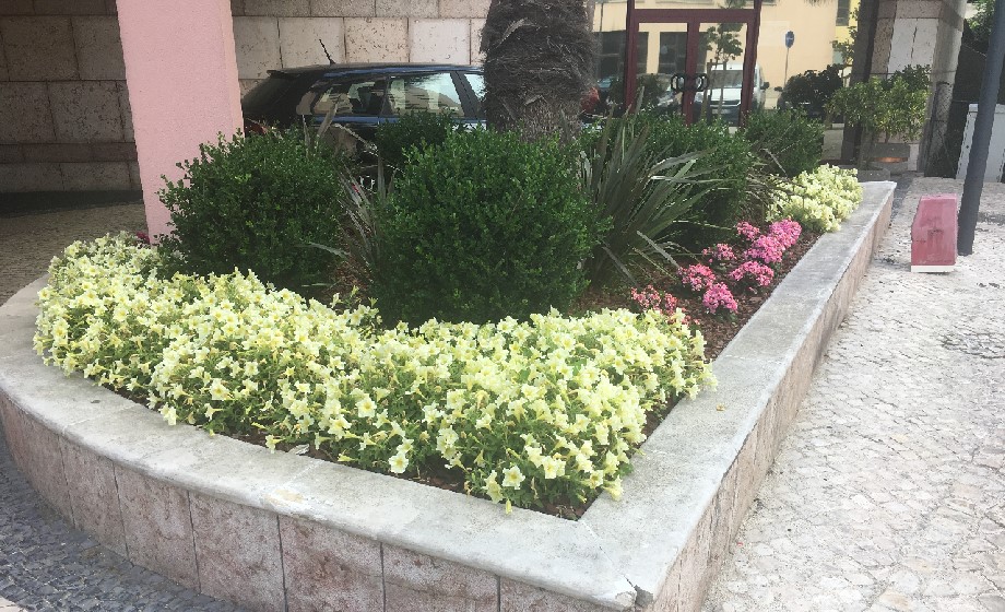 GREEN GARDENS & DESIGN